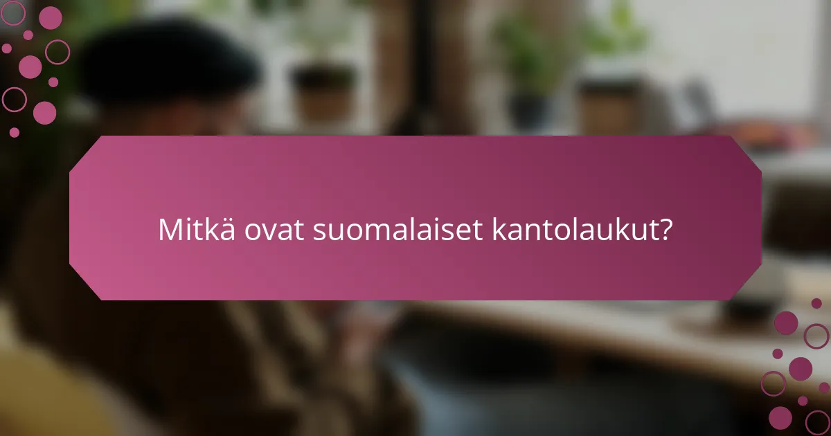 Mitkä ovat suomalaiset kantolaukut?